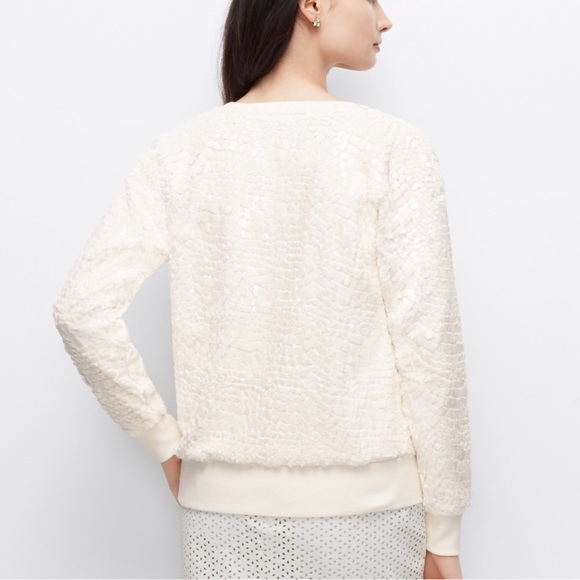 Ann Taylor Cracked Ice Sweatshirt Size M - Picture 2 of 7